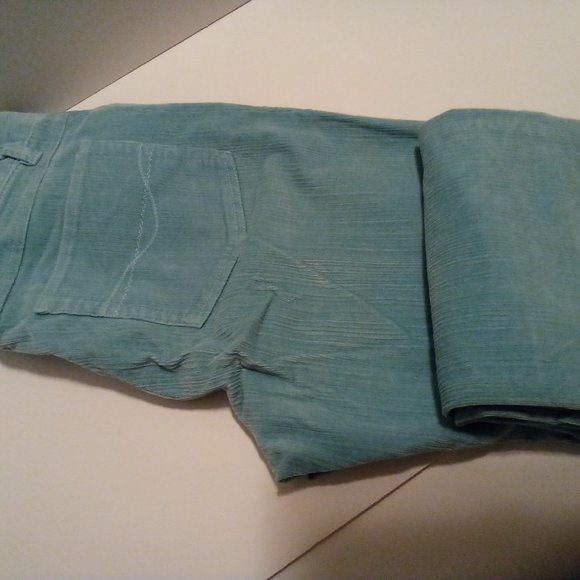 corduroy pants, Chadwick, size 8, teal - Picture 2 of 3
